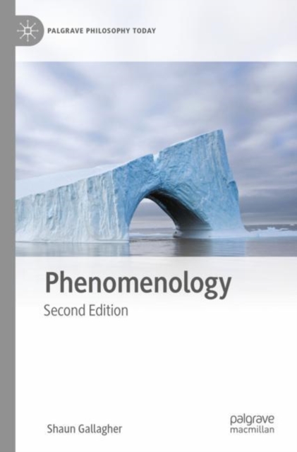 Phenomenology, EPUB eBook