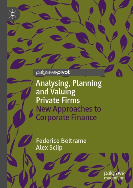 Analysing, Planning and Valuing Private Firms : New Approaches to Corporate Finance, EPUB eBook