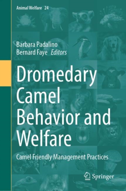 Dromedary Camel Behavior and Welfare : Camel Friendly Management Practices, EPUB eBook