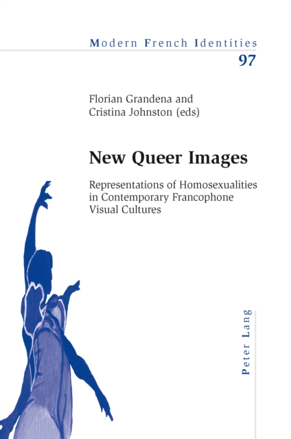 New Queer Images : Representations of Homosexualities in Contemporary Francophone Visual Cultures, PDF eBook