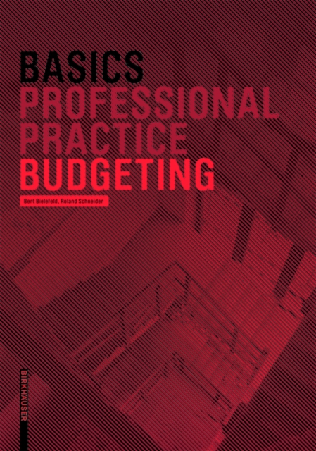 Basics Budgeting, EPUB eBook