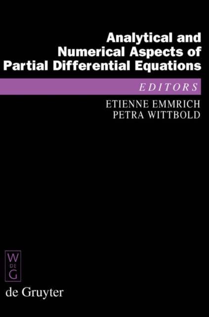 Analytical and Numerical Aspects of Partial Differential Equations : Notes of a Lecture Series, PDF eBook