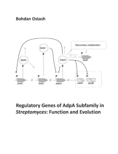Regulatory Genes of AdpA Subfamily in Streptomyces: Function and Evolution : Biology of AdpA Regulators in Streptomyces, PDF eBook
