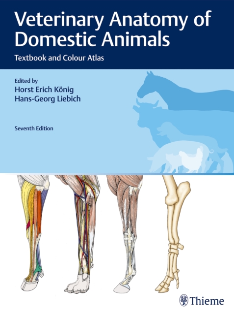 Veterinary Anatomy of Domestic Animals : Textbook and Colour Atlas, EPUB eBook