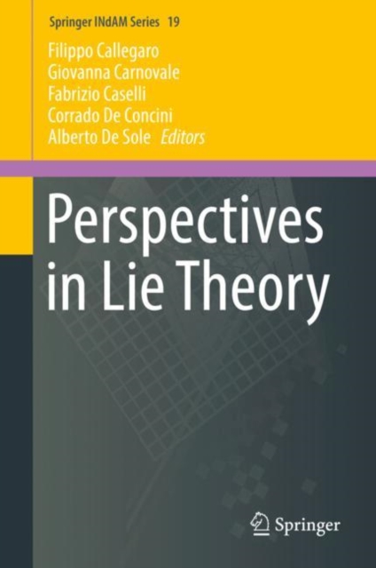 Perspectives in Lie Theory, EPUB eBook