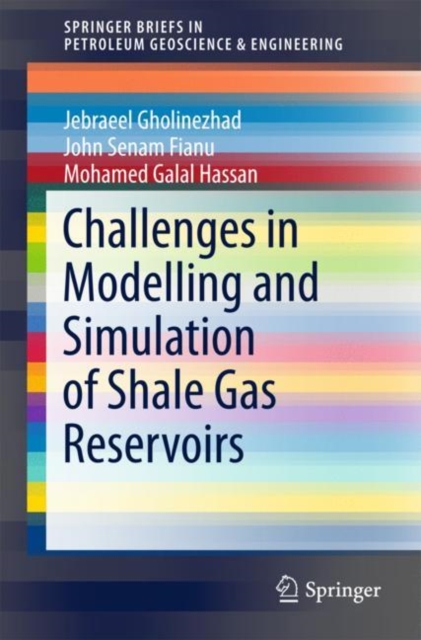 Challenges in Modelling and Simulation of Shale Gas Reservoirs, EPUB eBook