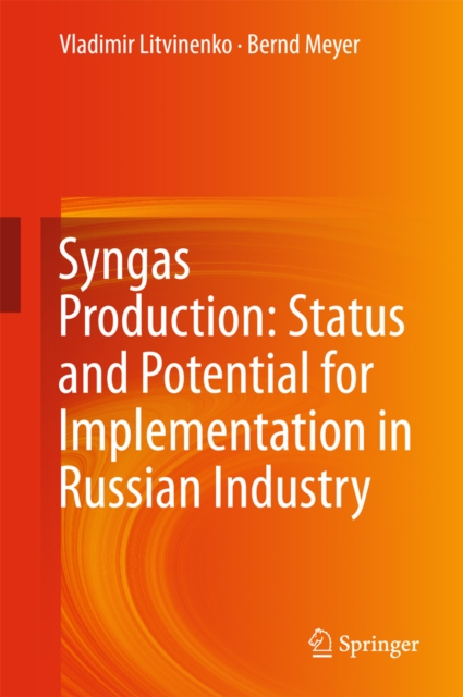 Syngas Production: Status and Potential for Implementation in Russian Industry, EPUB eBook