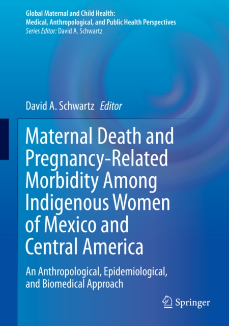 Maternal Death and Pregnancy-Related Morbidity Among Indigenous Women of Mexico and Central America : An Anthropological, Epidemiological, and Biomedical Approach, EPUB eBook