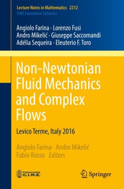 Non-Newtonian Fluid Mechanics and Complex Flows : Levico Terme, Italy 2016, Paperback / softback Book