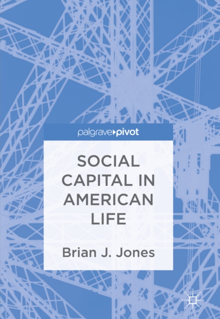 Social Capital in American Life, EPUB eBook