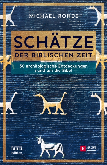 Schatze der biblischen Zeit : 50 archaologische Entdeckungen rund um die Bibel, EPUB eBook