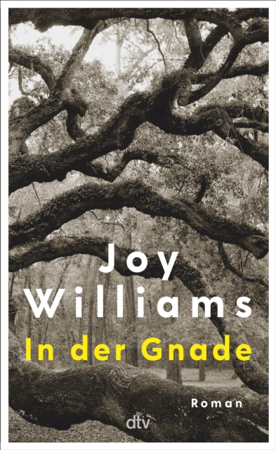In der Gnade : Roman | »Joy Williams ist ein Geschenk.« Bernd Ulrich, DIE ZEIT, EPUB eBook