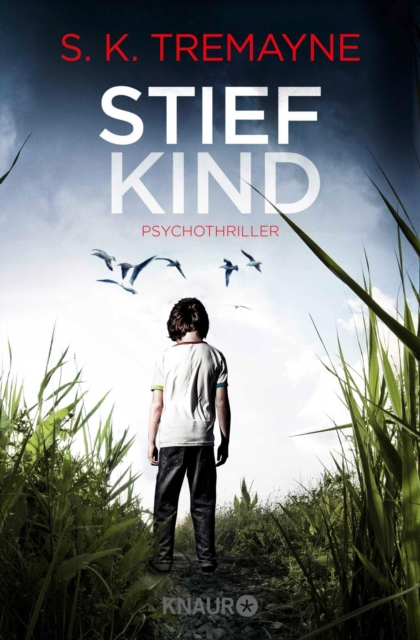 Stiefkind : Psychothriller, EPUB eBook