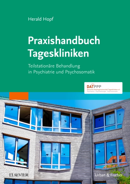 Praxishandbuch Tageskliniken : Teilstationare Behandlung in Psychiatrie und Psychosomatik eBook, EPUB eBook