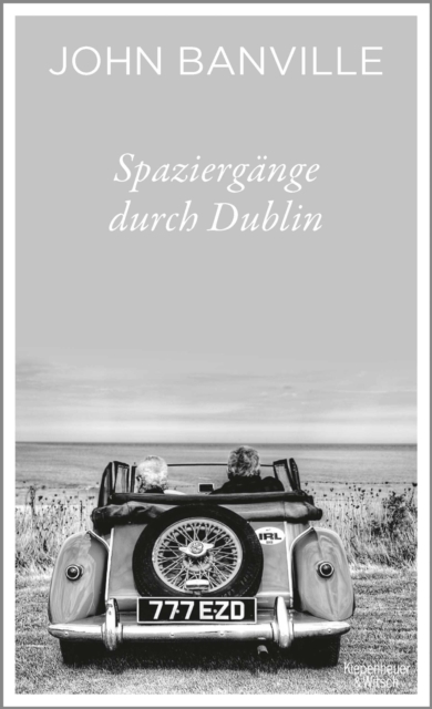 Spaziergange durch Dublin, EPUB eBook