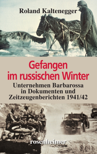 Gefangen im russischen Winter : Unternehmen Barbarossa in Dokumenten und Zeitzeugenberichten 1941/42, EPUB eBook