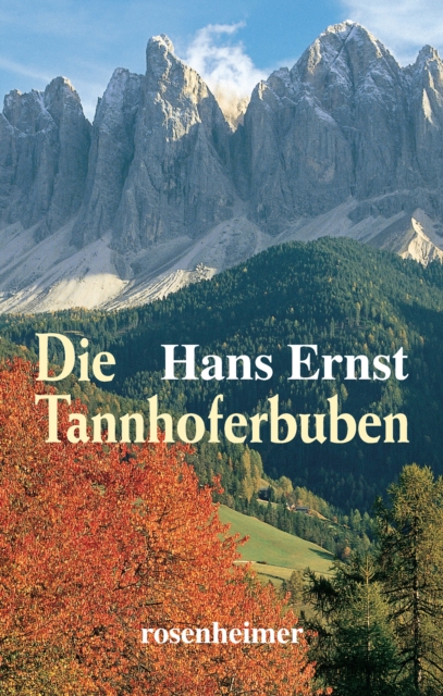 Die Tannhoferbuben, EPUB eBook