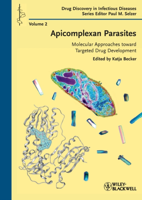 Apicomplexan Parasites : Molecular Approaches toward Targeted Drug Development, Hardback Book