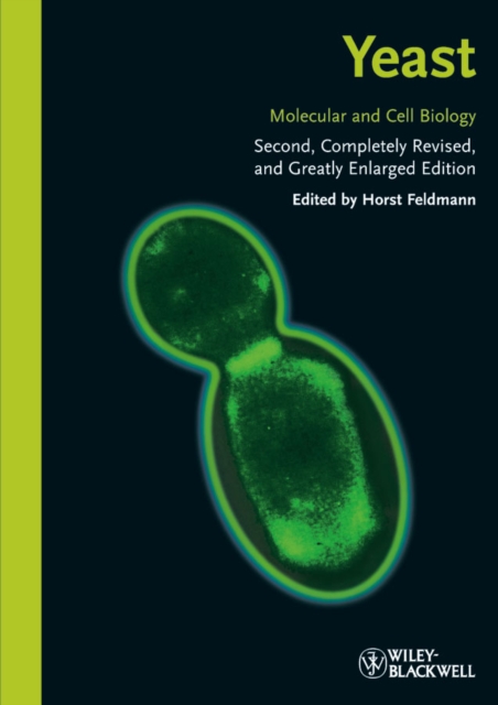 Yeast : Molecular and Cell Biology, Paperback / softback Book