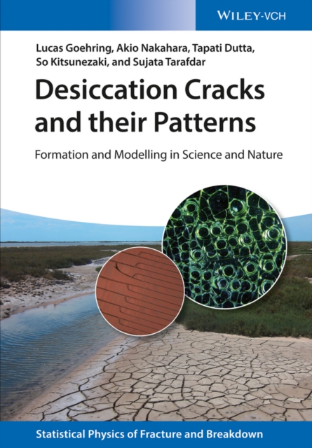 Desiccation Cracks and their Patterns : Formation and Modelling in Science and Nature, PDF eBook