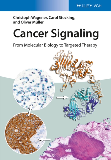 Cancer Signaling : From Molecular Biology to Targeted Therapy, PDF eBook
