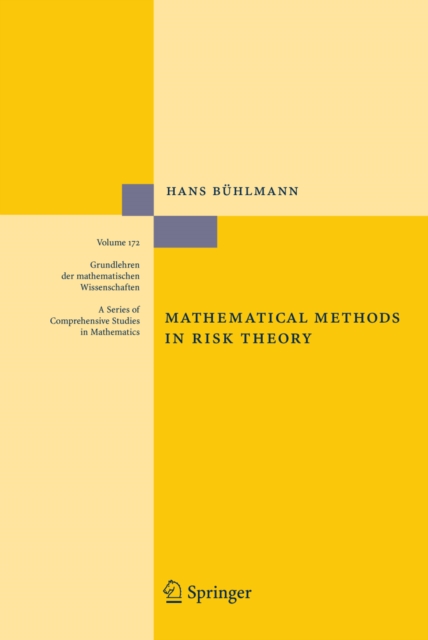 Mathematical Methods in Risk Theory, PDF eBook