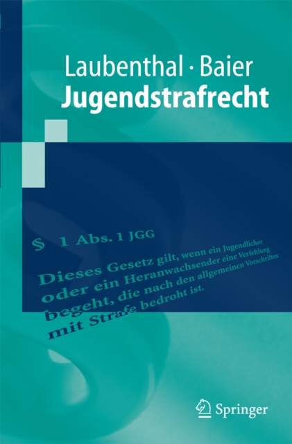 Jugendstrafrecht, PDF eBook