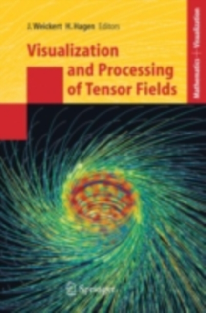 Visualization and Processing of Tensor Fields, PDF eBook