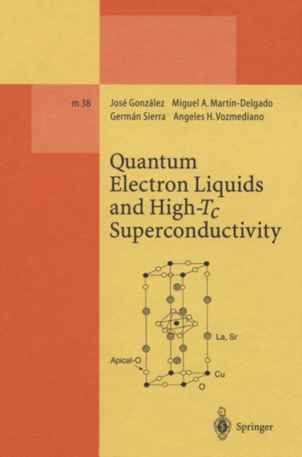 Quantum Electron Liquids and High-Tc Superconductivity, PDF eBook