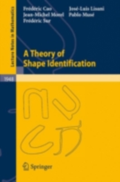 A Theory of Shape Identification, PDF eBook