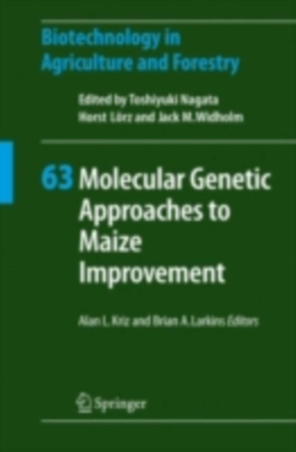 Molecular Genetic Approaches to Maize Improvement, PDF eBook