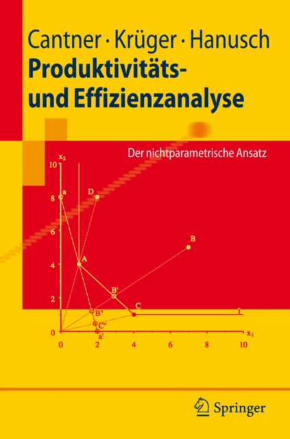 Produktivitats- und Effizienzanalyse : Der nichtparametrische Ansatz, PDF eBook