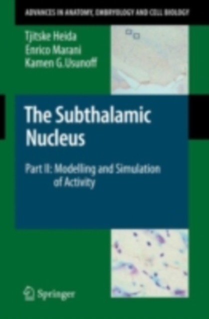 The Subthalamic Nucleus : Part II: Modelling and Simulation of Activity, PDF eBook