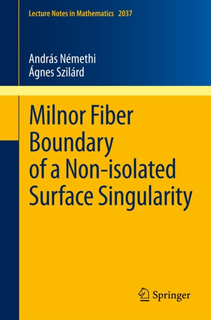 Milnor Fiber Boundary of a Non-isolated Surface Singularity, PDF eBook