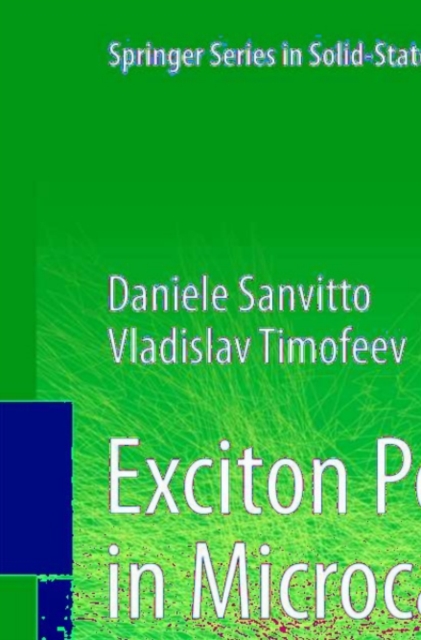 Exciton Polaritons in Microcavities : New Frontiers, PDF eBook