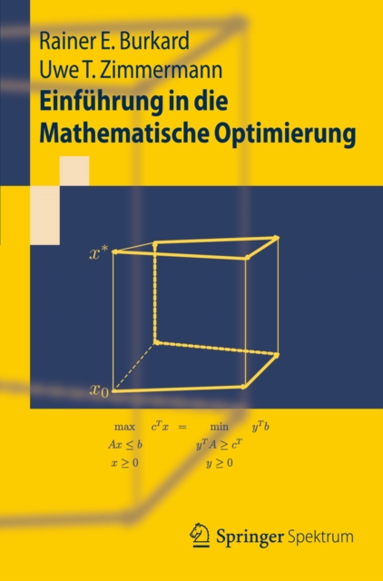 Einfuhrung in die Mathematische Optimierung, PDF eBook