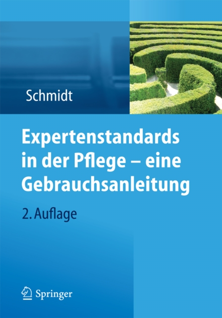 Expertenstandards in der Pflege - eine Gebrauchsanleitung, PDF eBook