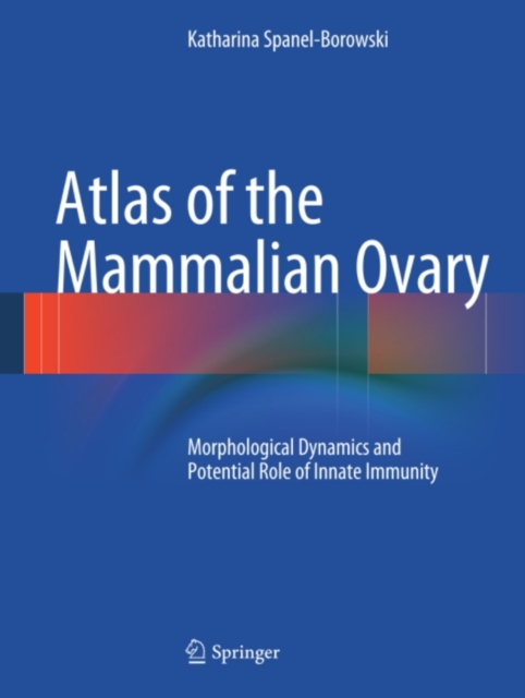 Atlas of the Mammalian Ovary : Morphological Dynamics and Potential Role of Innate Immunity, PDF eBook