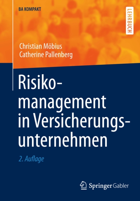 Risikomanagement in Versicherungsunternehmen, PDF eBook