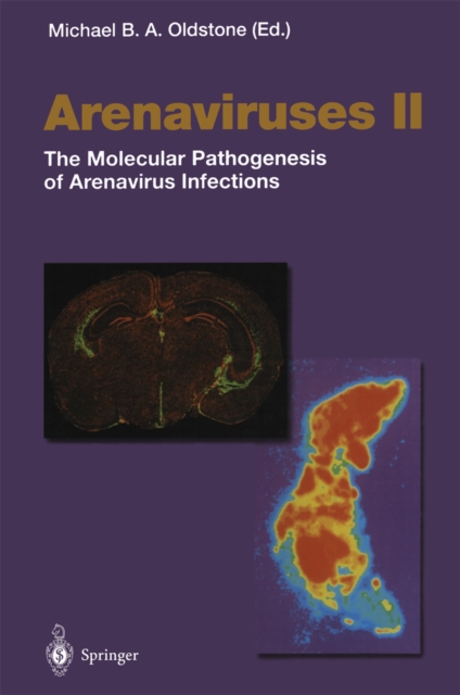 Arenaviruses II : The Molecular Pathogenesis of Arenavirus Infections, PDF eBook
