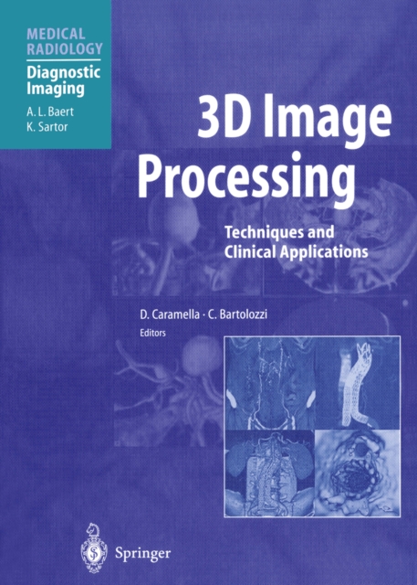 3D Image Processing : Techniques and Clinical Applications, PDF eBook