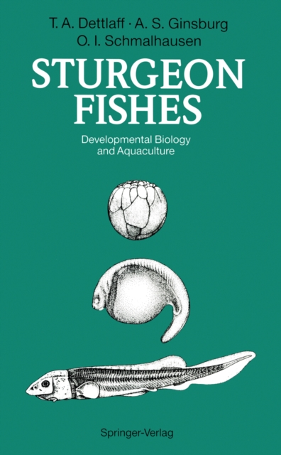 Sturgeon Fishes : Developmental Biology and Aquaculture, PDF eBook