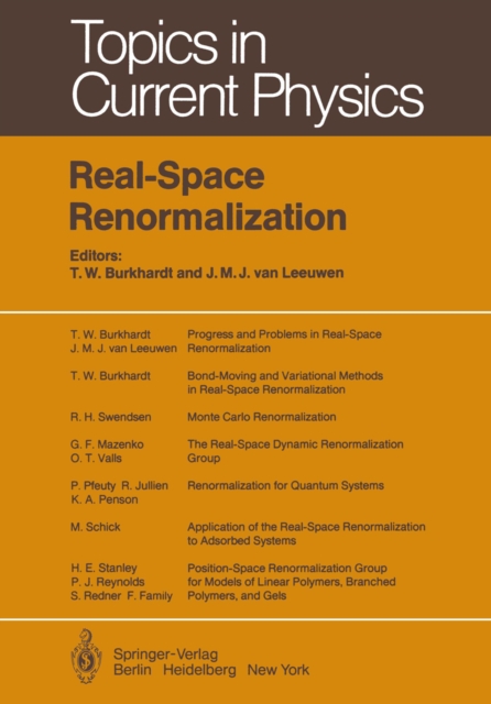 Real-Space Renormalization, PDF eBook