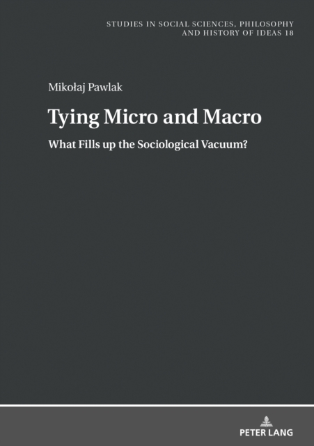 Tying Micro and Macro : What Fills up the Sociological Vacuum?, PDF eBook