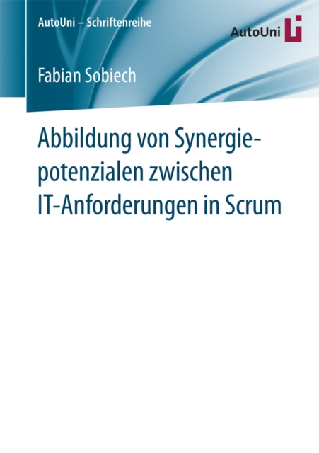 Abbildung von Synergiepotenzialen zwischen IT-Anforderungen in Scrum, PDF eBook