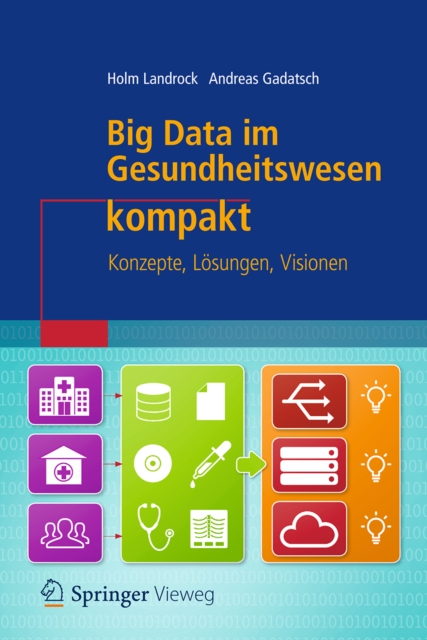 Big Data im Gesundheitswesen kompakt : Konzepte, Losungen, Visionen, EPUB eBook