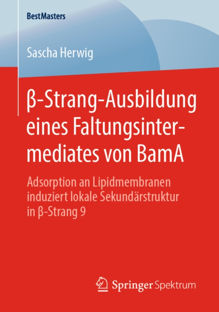 -Strang-Ausbildung eines Faltungsintermediates von BamA : Adsorption an Lipidmembranen induziert lokale Sekundarstruktur in -Strang 9, PDF eBook
