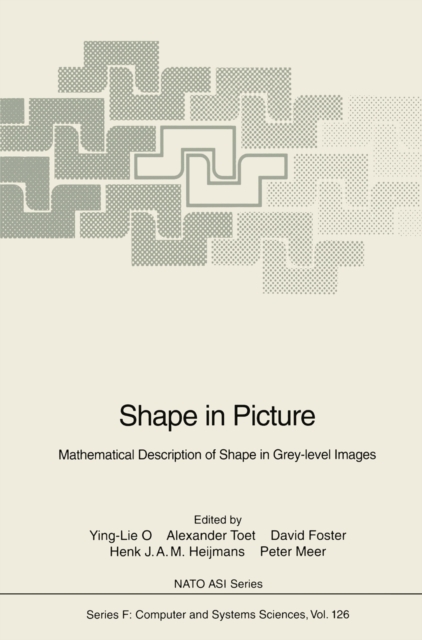 Shape in Picture : Mathematical Description of Shape in Grey-level Images, PDF eBook