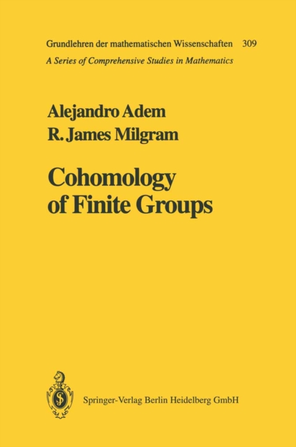 Cohomology of Finite Groups, PDF eBook