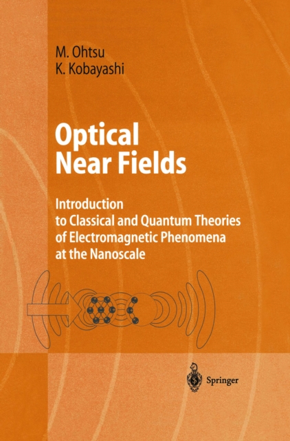 Optical Near Fields : Introduction to Classical and Quantum Theories of Electromagnetic Phenomena at the Nanoscale, PDF eBook